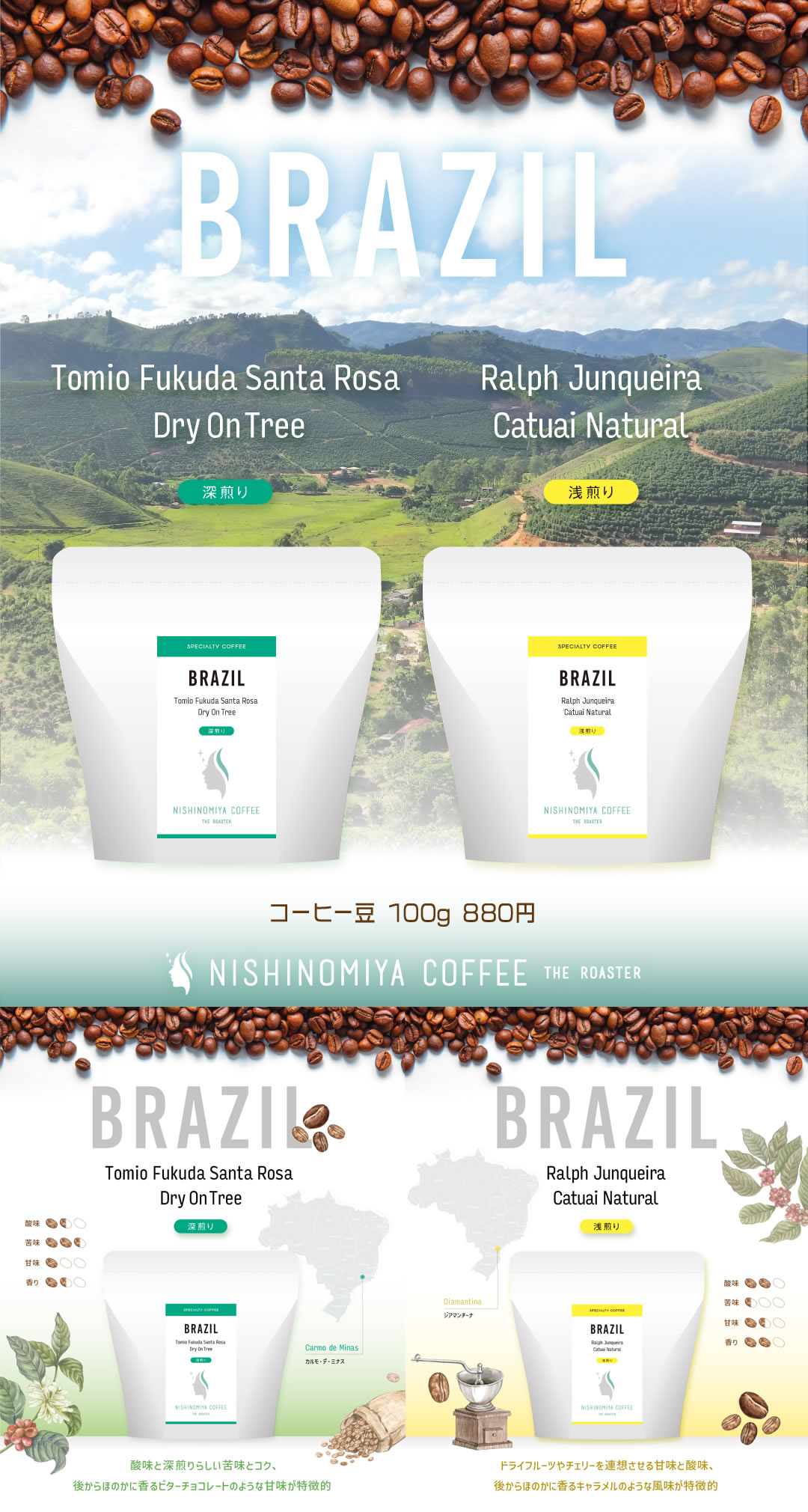 BRAZILコーヒー豆